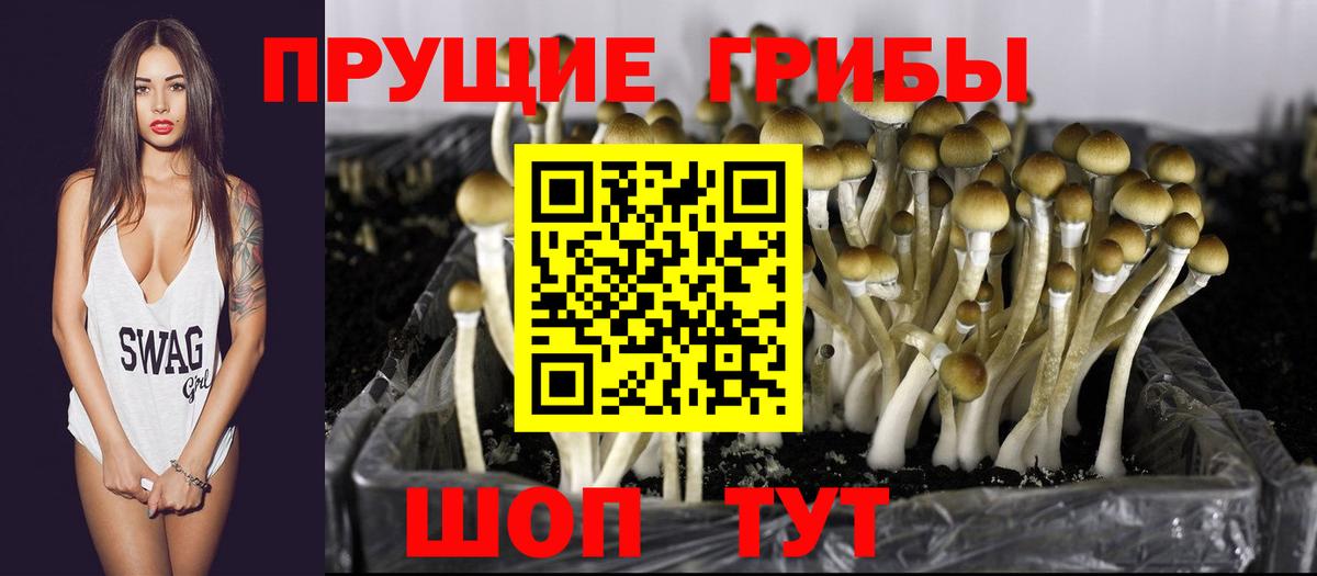 Псилоцибиновые грибы Magic Shrooms Новороссийск